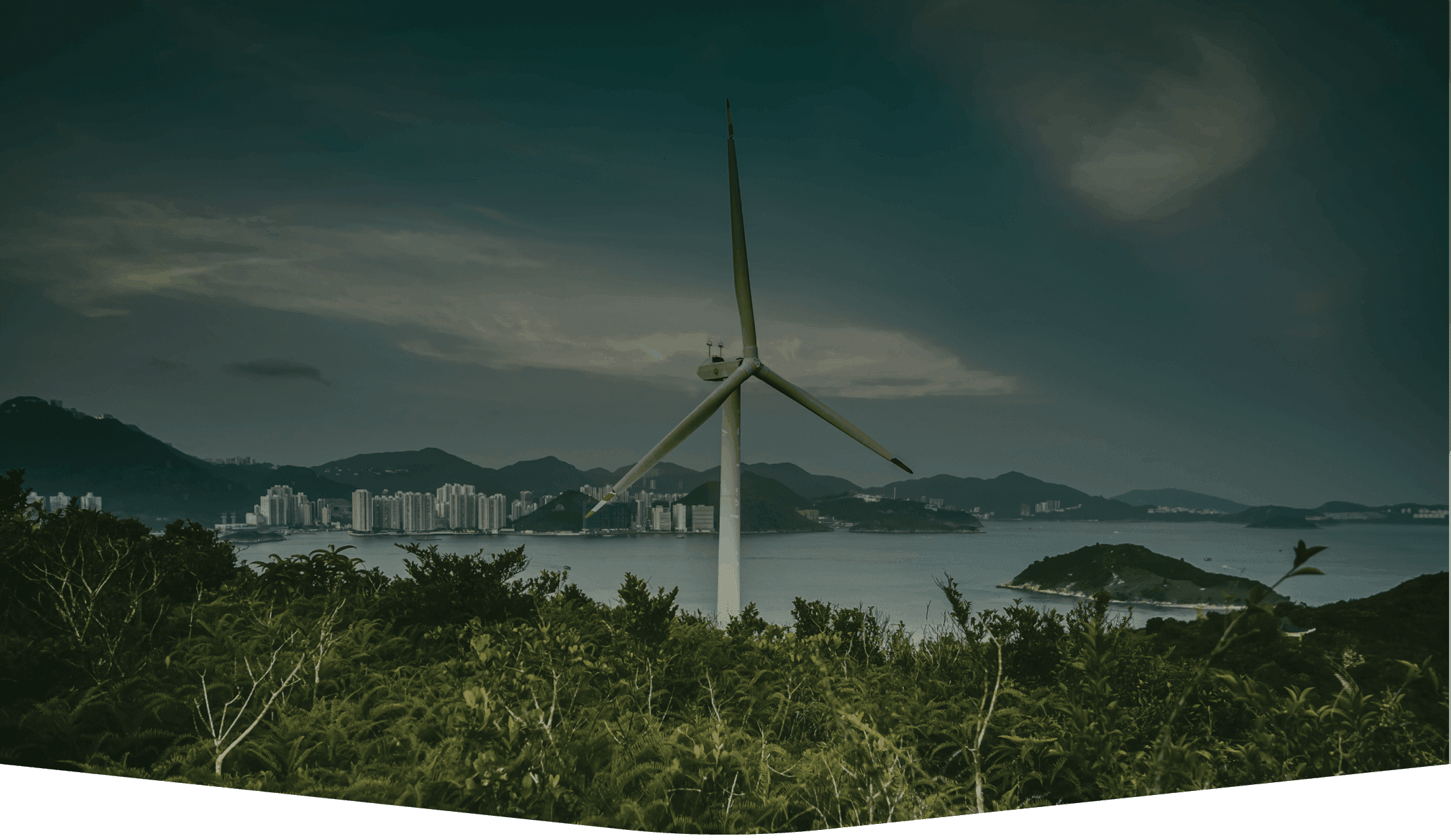 درباره سدره